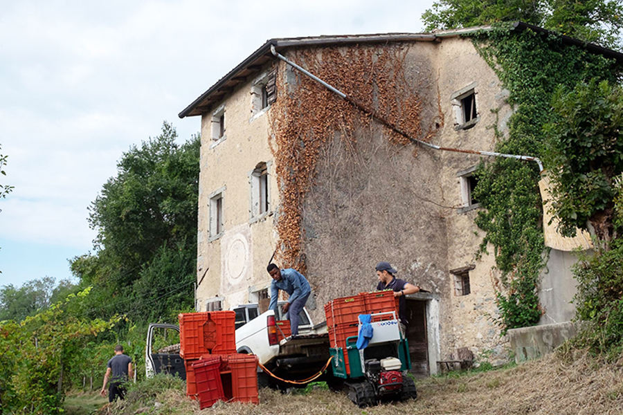 ローズホテル横浜|重慶飯店|ワインフェア|ヴェネト州|Balan|バラン